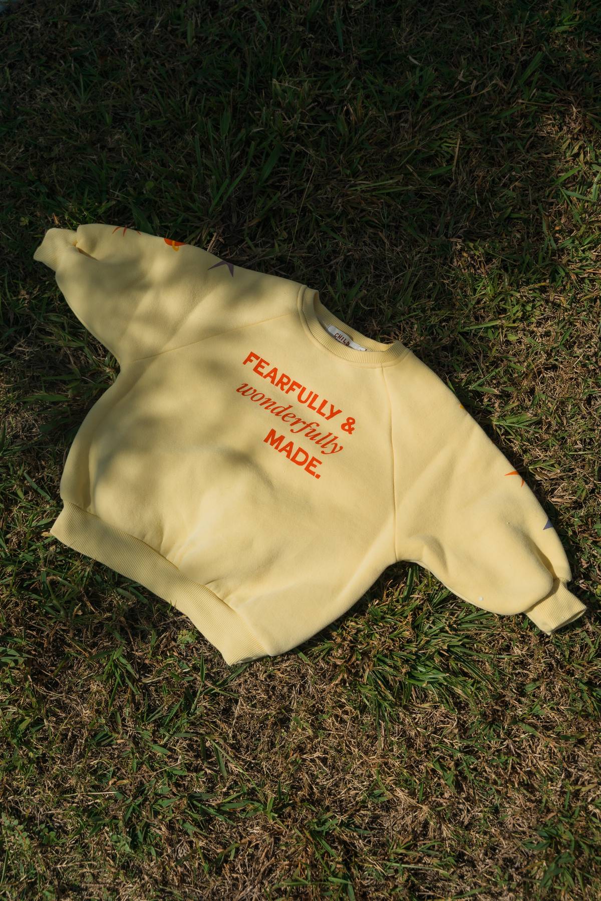 Wonder Jumper
